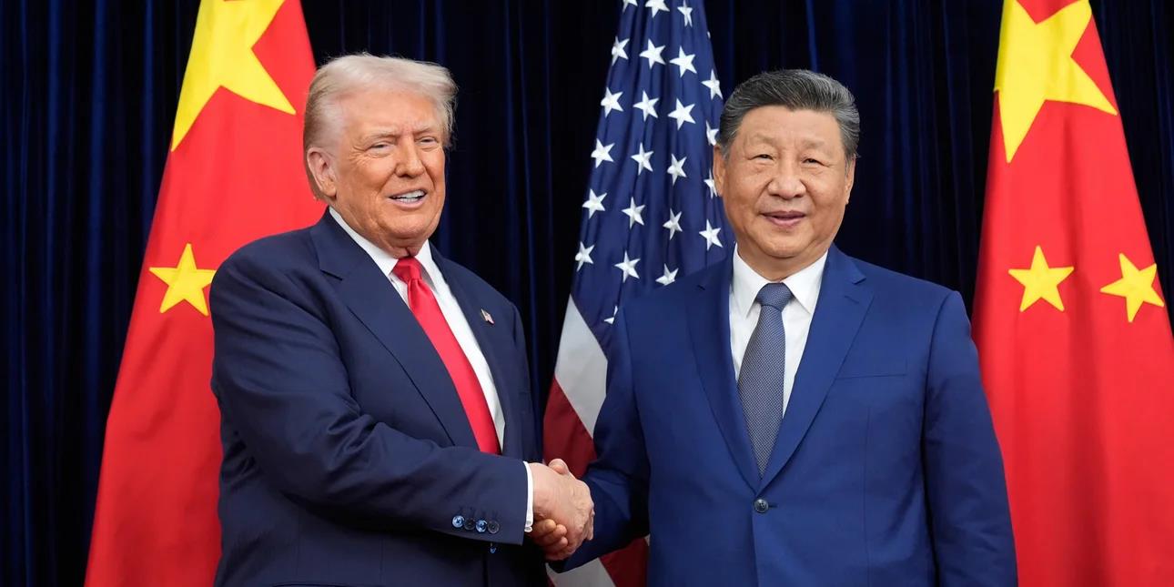 5310407118381363 image