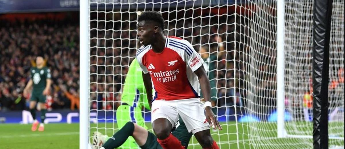 5310459527099056 cats