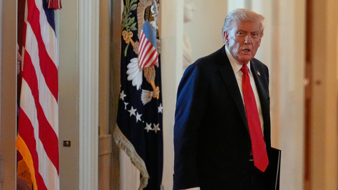 5310473597113638 image