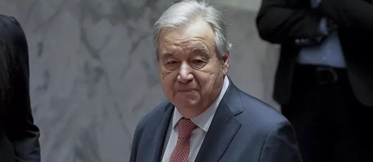 5310574284838151 cats