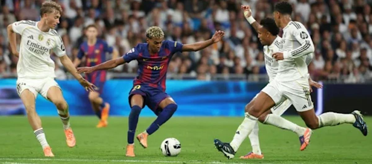 5310602530838622 cats