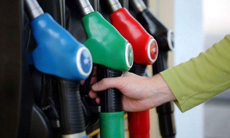 5310637832570099 image