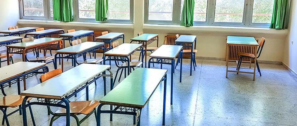 5310600008629976 cats