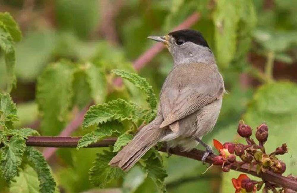 5310731692103689 1691468139-08442