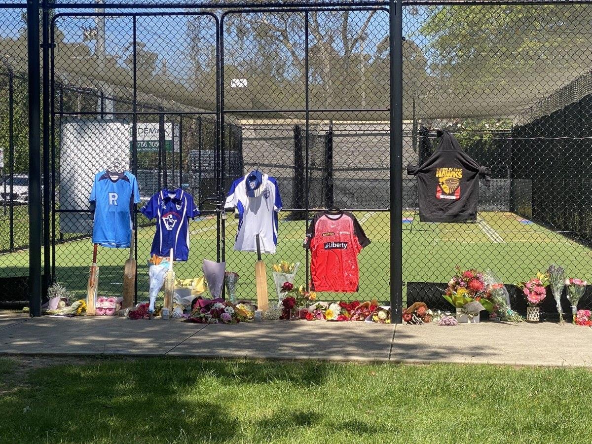 5310750669388369 image