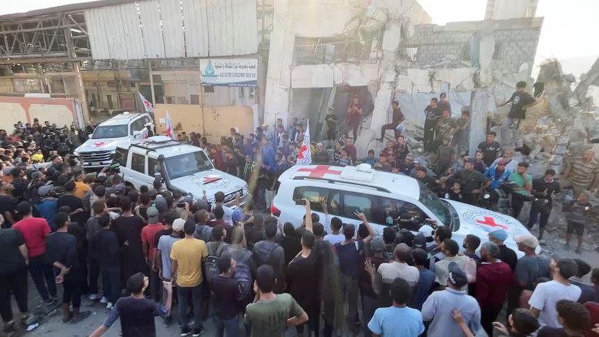 5310785330087951 image