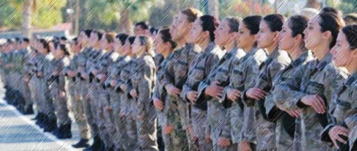 5311445572254596 cache 1300x500 Analog medium 1334236 563041 25 09 29 103714