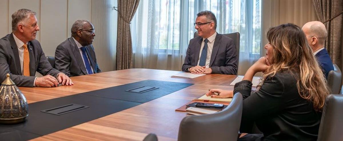 5311593471655622 cats