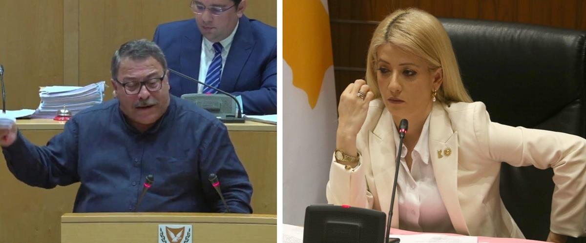 5311720202507731 cats