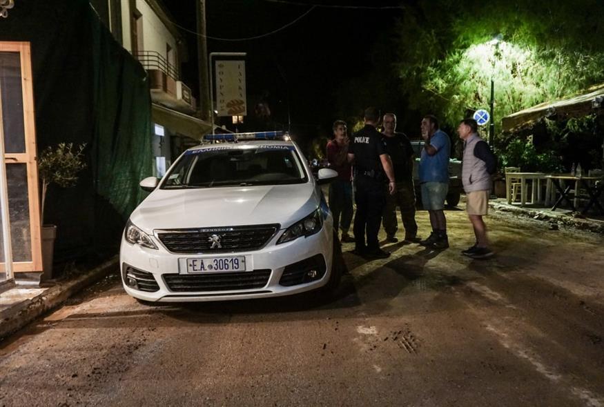 5311795900224445 image