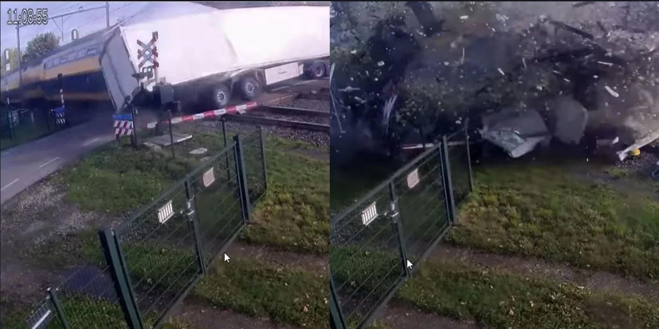 5312244685889528 image