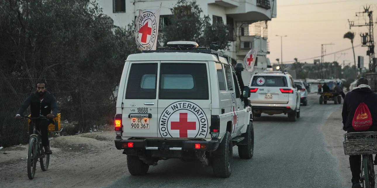 5312265136698815 image