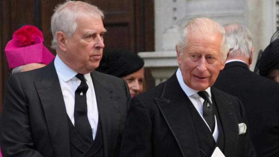 5312270246306404 andrew charles