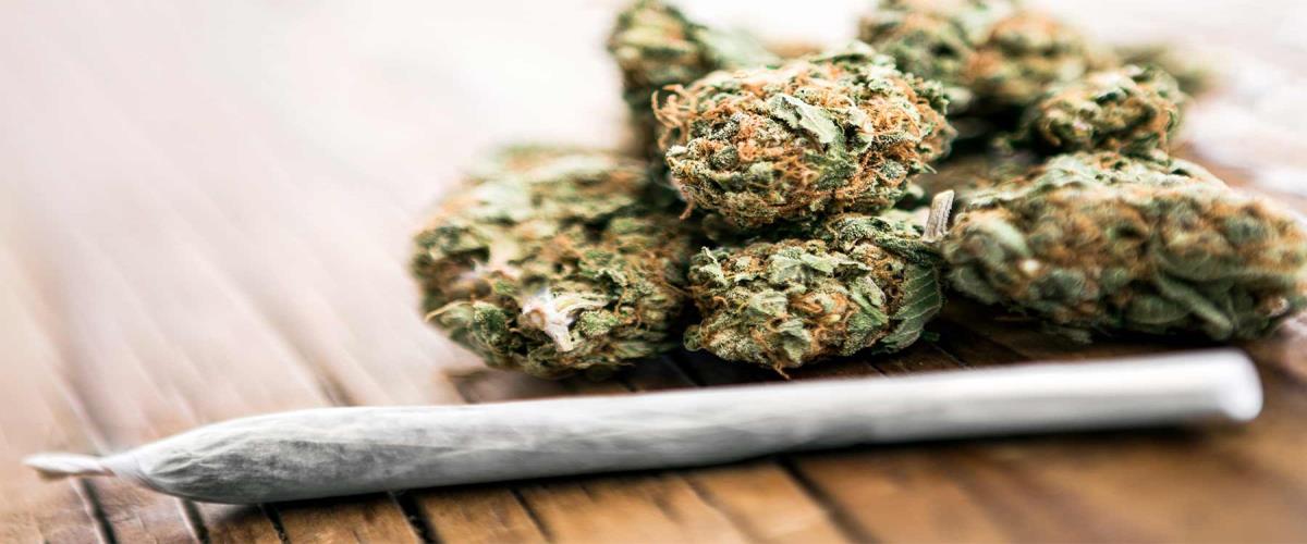 5310682650558929 Untitled-1-Recovered