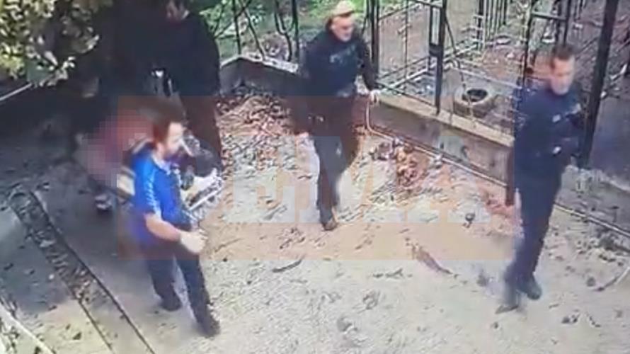 5312644562510019 image