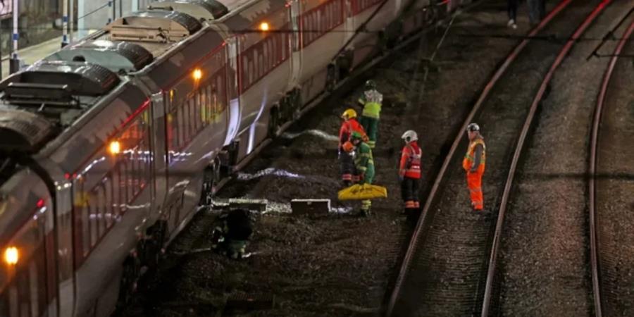 5313182824483181 trien