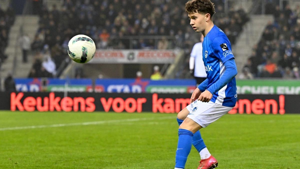 5313346189548212 image