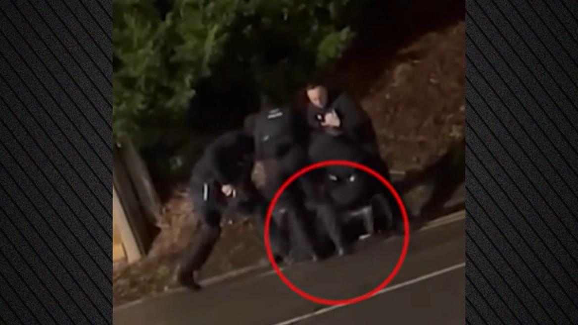 5313492039402905 image