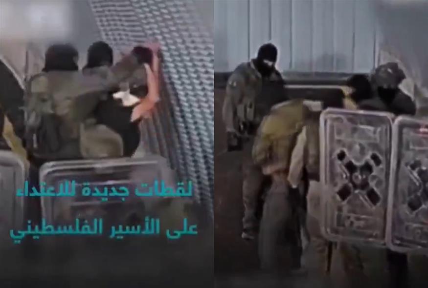 5313930594841868 image