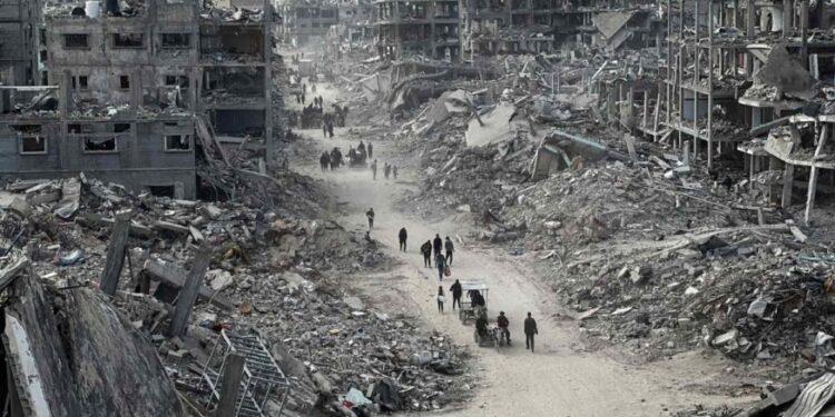 5314028414107508 image