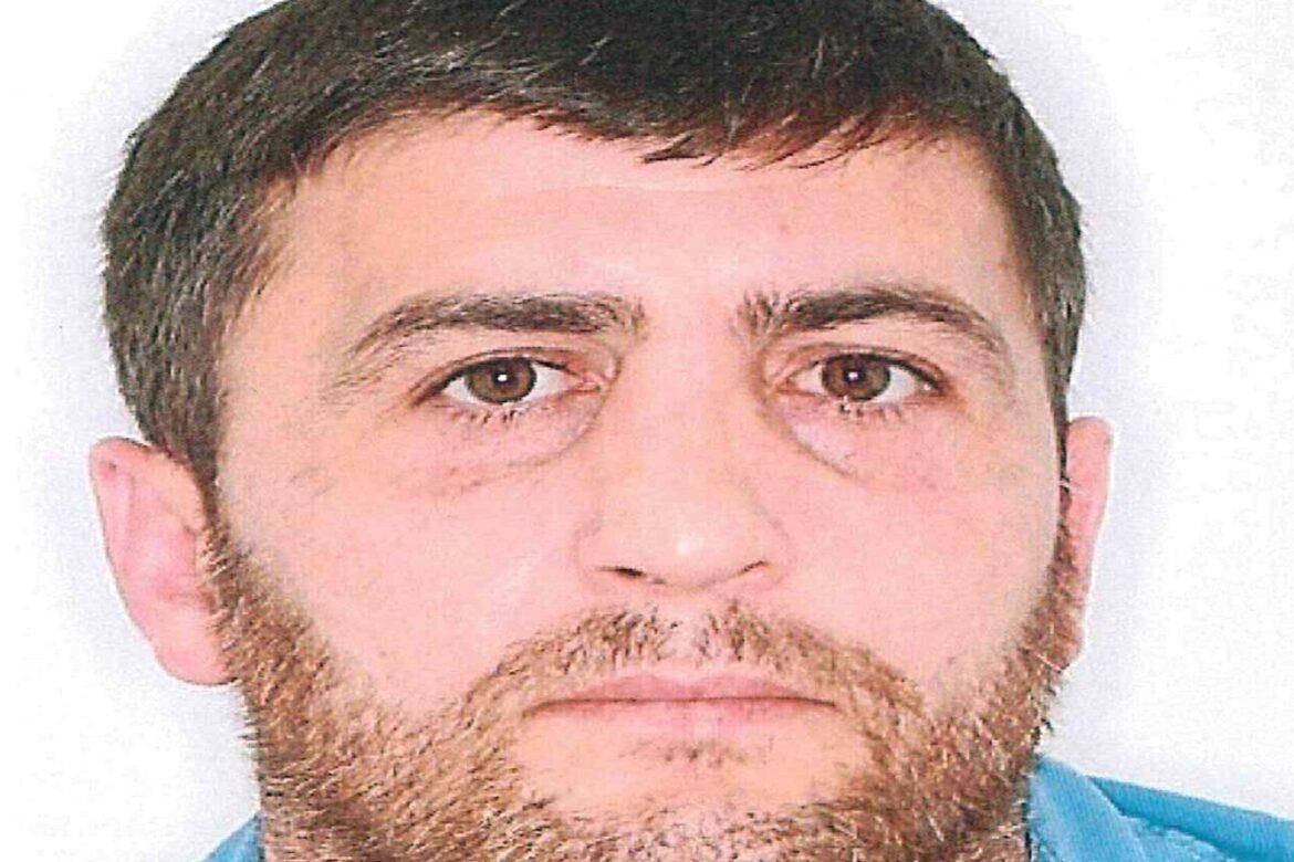 5314058391563133 image