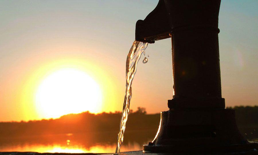 5314120948501317 image