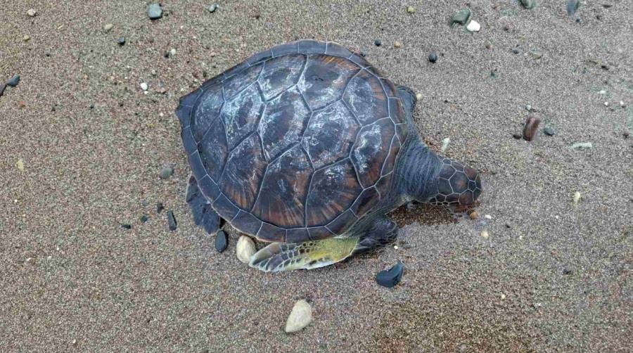 5314247581826465 DOC.20251103.9337840.123