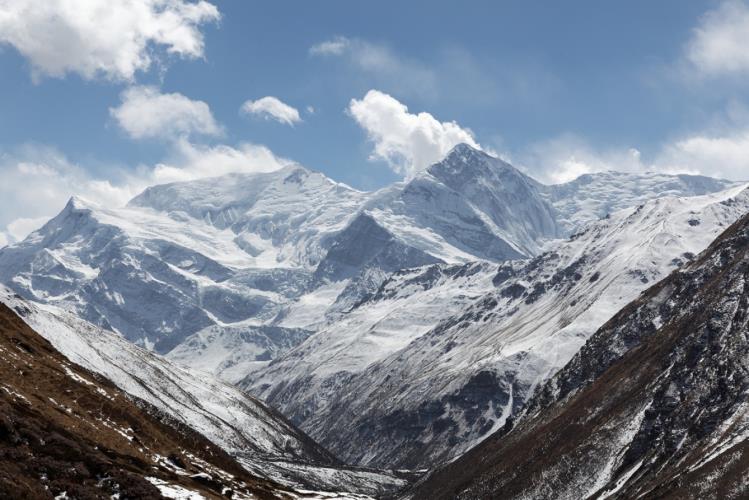 5314292065297643 image