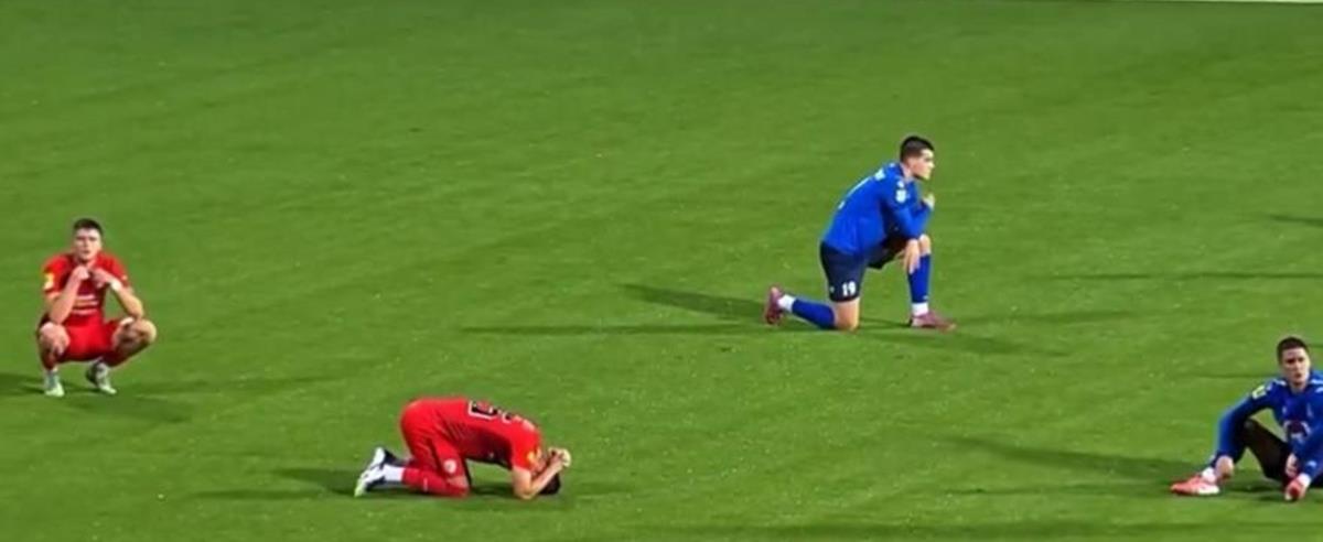 5314798488638559 cats