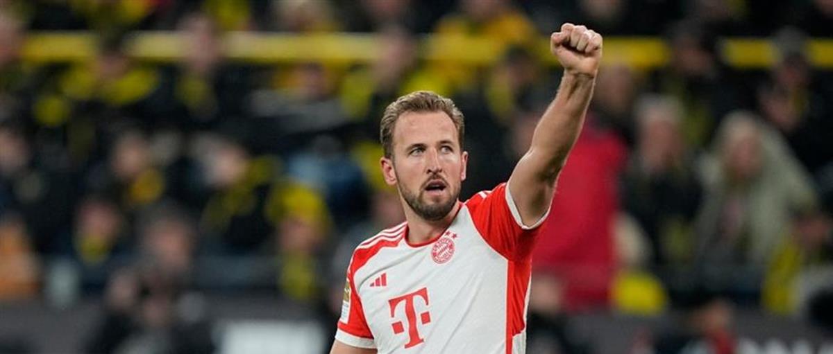 5314801377375146 cats