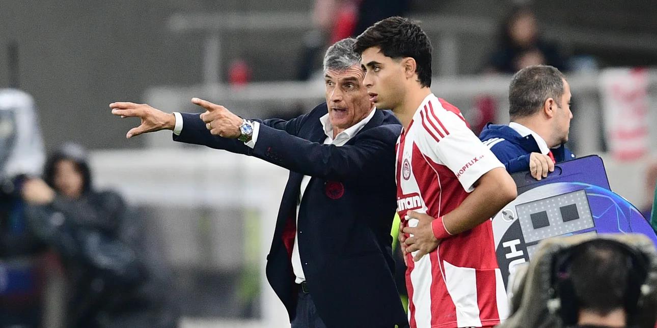 5315596815322172 image