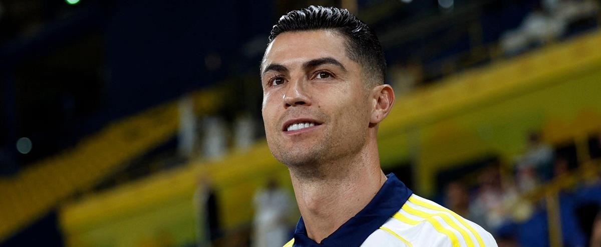 5315628545503449 cats