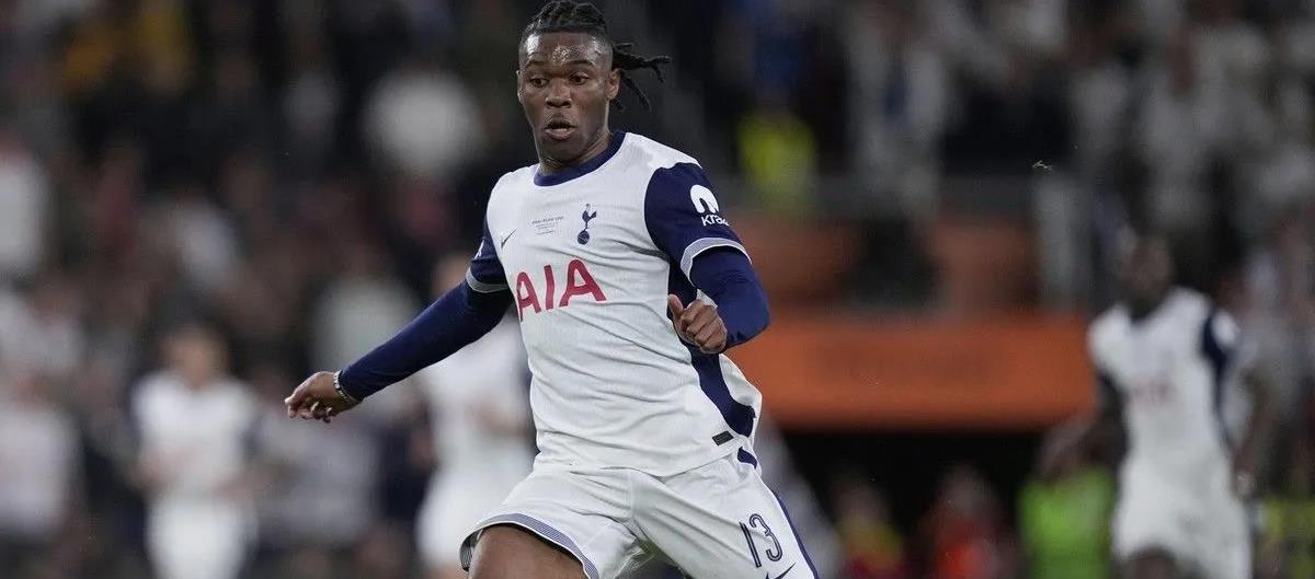 5315631743119895 cats