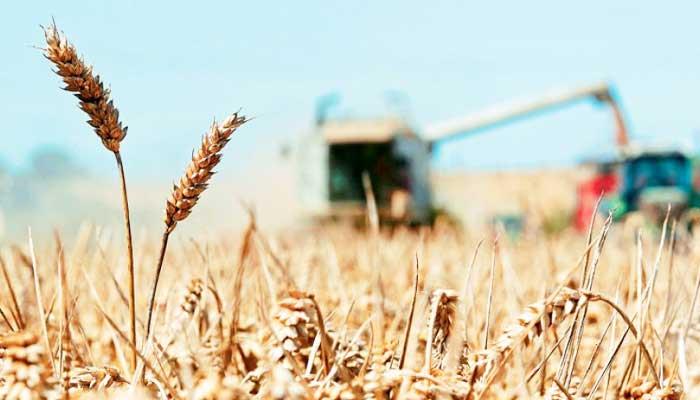 Σε αποχή από την εργασία τους τη Δευτέρα και οι μεταφορείς σιτηρών και ζωοτροφών