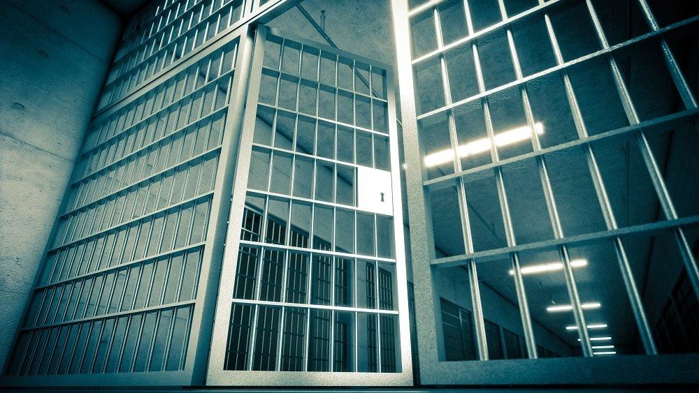 5316499415757016 image