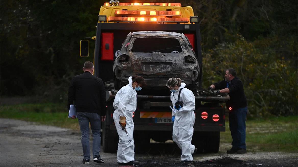 5316627652128461 image