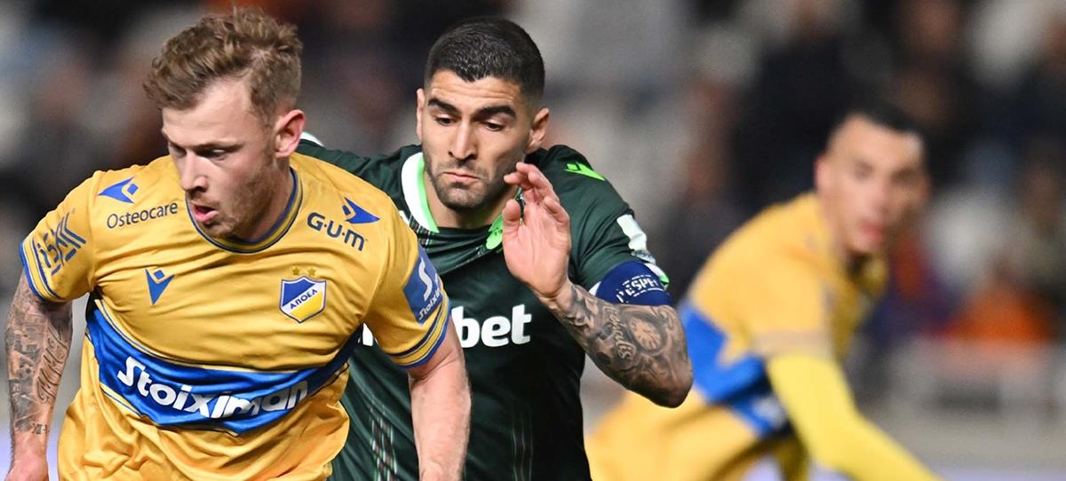 5316697029532883 cats