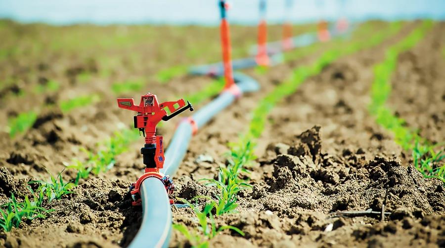 Έστειλε οδηγό σε 25 χιλιάδες γεωργούς το Τμήμα Γεωργίας για εξοικονόμηση νερού