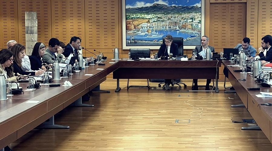 5317536171027869 DOC.20251107.9358917.epitropi-oikonomikon