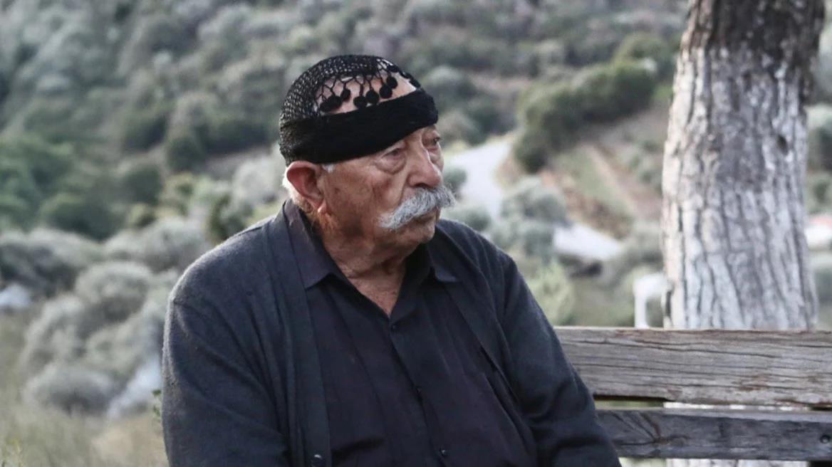 5317584769278971 image