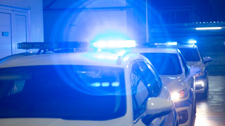 Επιστράφηκαν στην χώρα τους επτά πρόσωπα που διέμεναν παράνομα στην Κύπρο