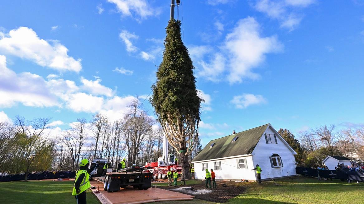 5317729786638281 image