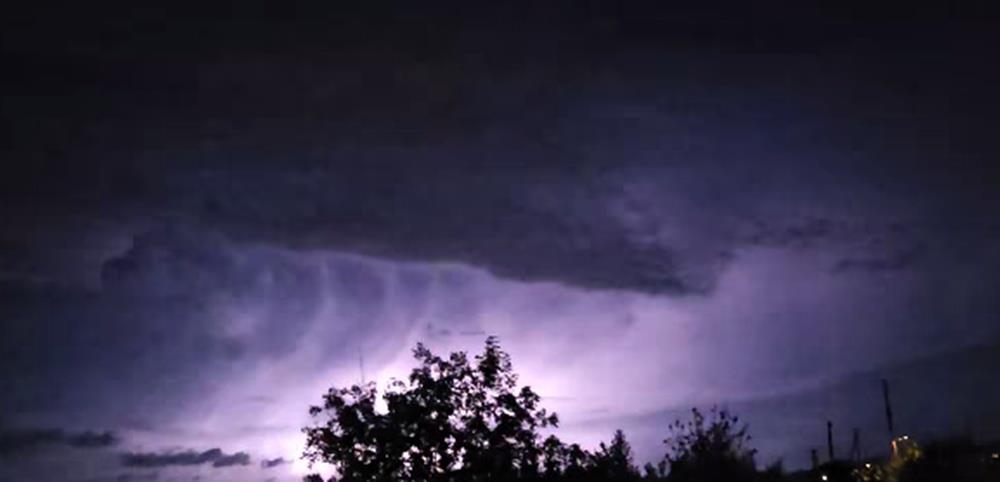 5317794726196228 cats