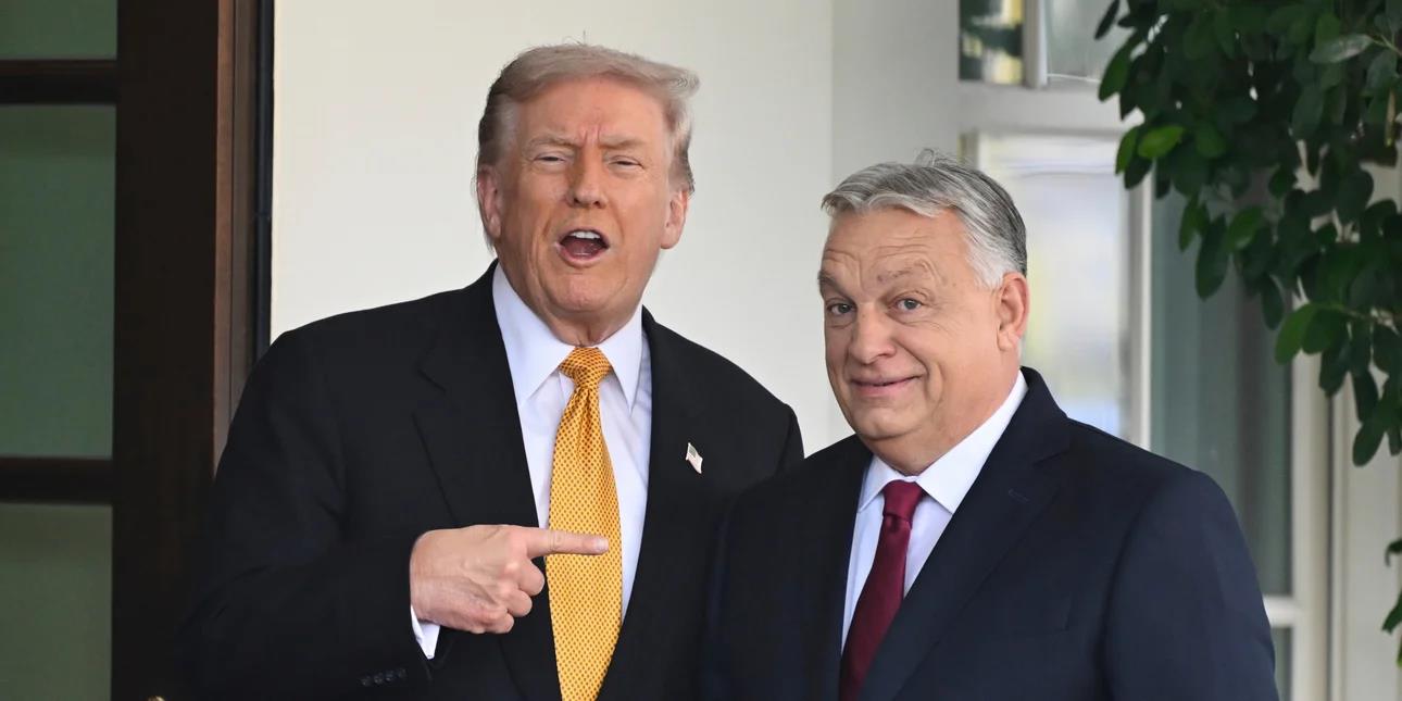 5317818742408294 image