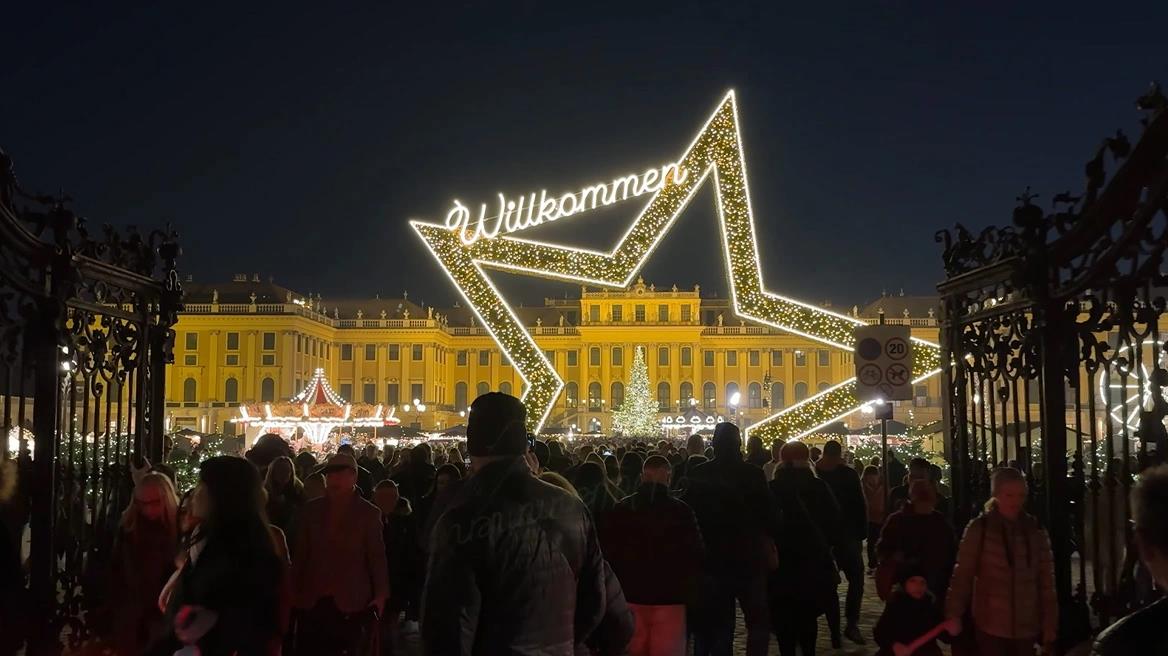 5317843100304887 image