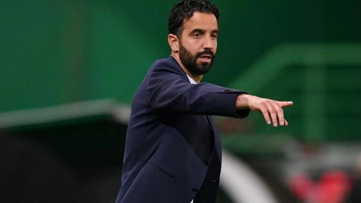 5318547733240206 image