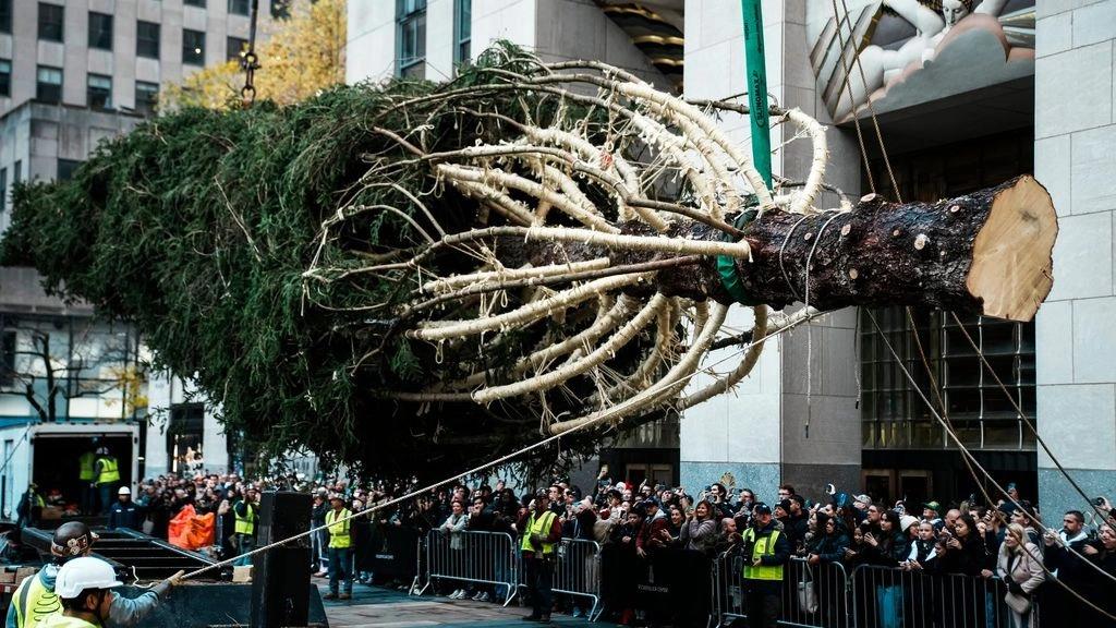 5318611934816582 image