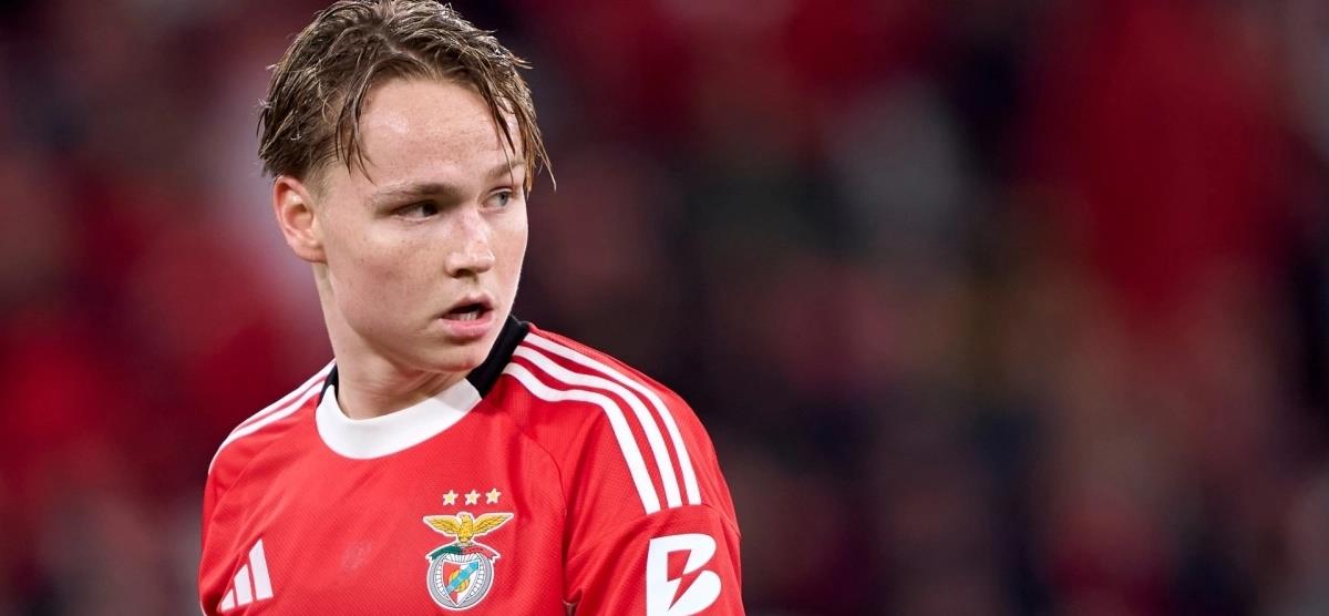 5319065396451406 cats