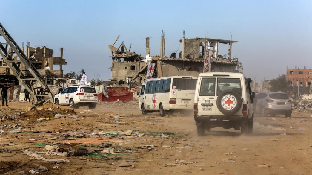 5319095753930489 image