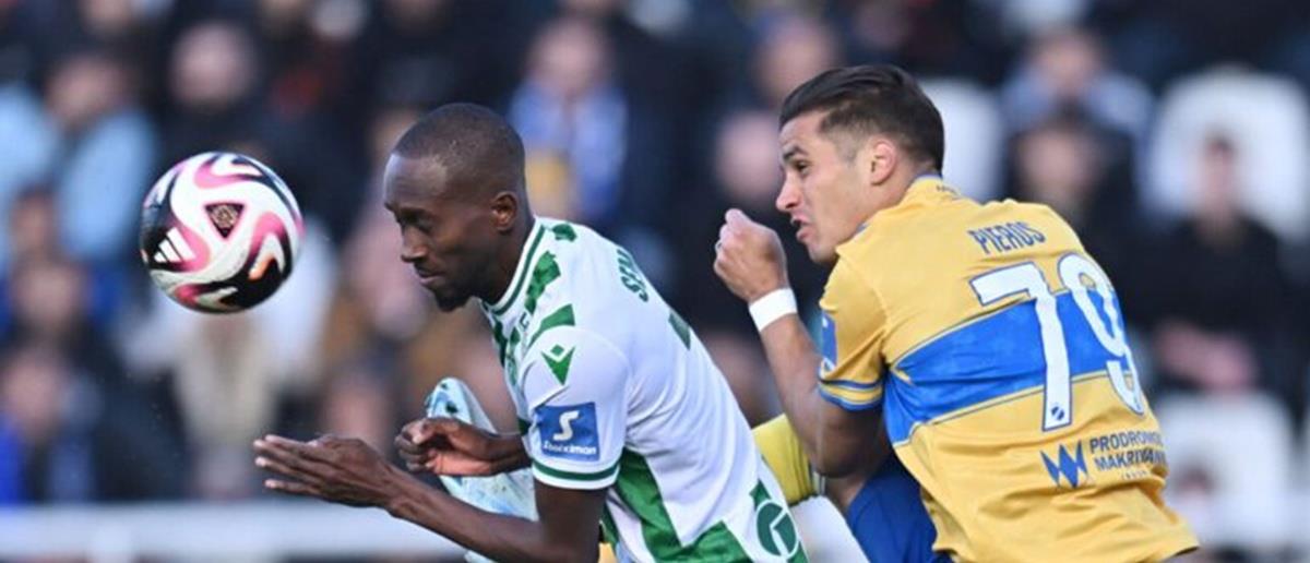 5319176404247512 cats